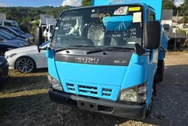 2006 Isuzu Elf Tipper Truck ( Newly Imported)