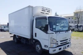 2017 Isuzu Elf Refrigerator Truck